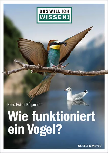 Cover: Das will ich wissen! Wie funktioniert ein Vogel?