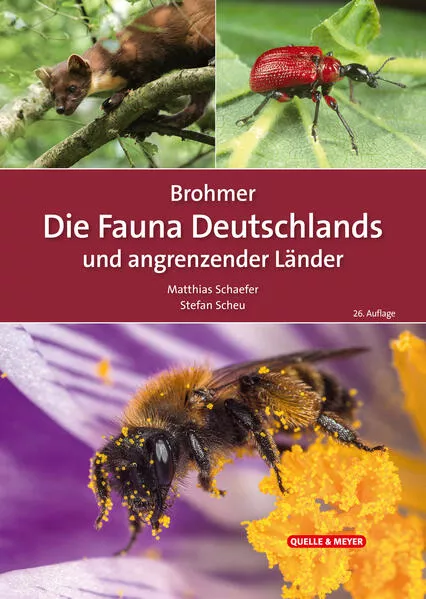 Brohmer – Die Fauna Deutschlands und angrenzender Länder