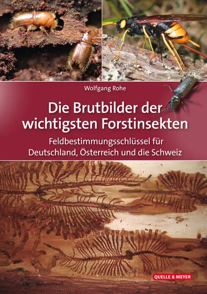 Cover: Die Brutbilder der wichtigsten Forstinsekten