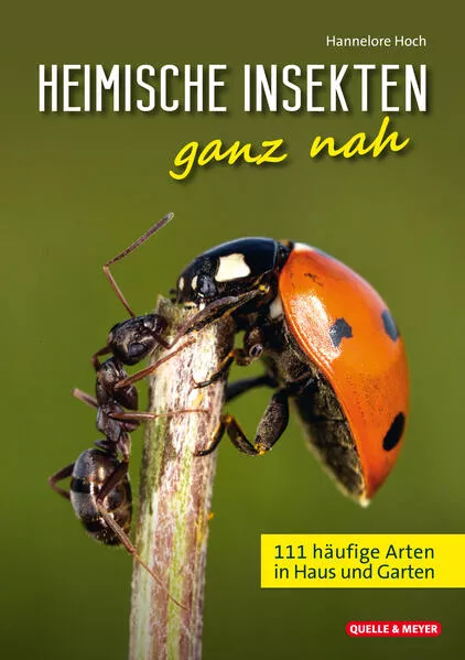Cover: Heimische Insekten ganz nah