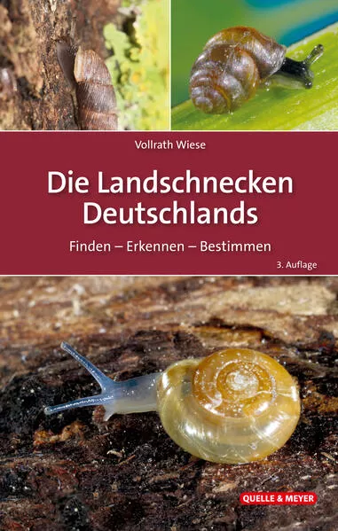 Cover: Die Landschnecken Deutschlands