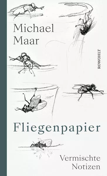 Cover: Fliegenpapier