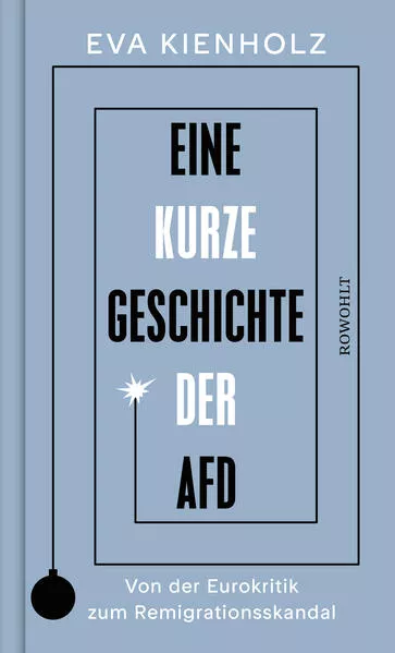 Eine kurze Geschichte der AfD</a>