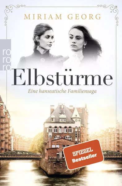 Cover: Elbstürme