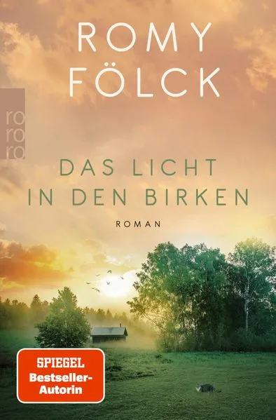 Das Licht in den Birken