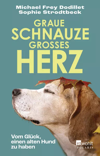 Cover: Graue Schnauze, großes Herz