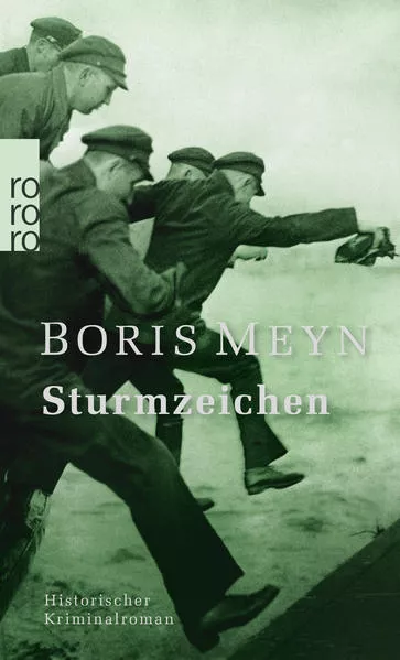 Cover: Sturmzeichen