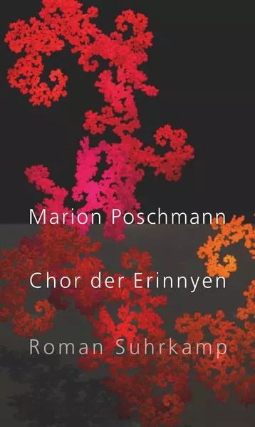 Cover: Chor der Erinnyen
