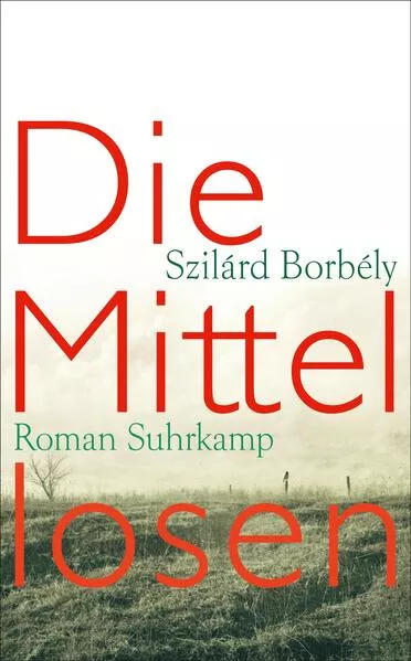 Cover: Die Mittellosen