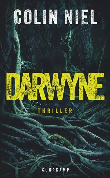 Cover: Darwyne