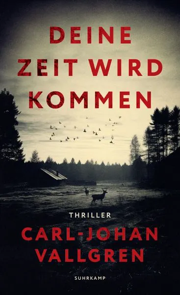 Cover: Deine Zeit wird kommen