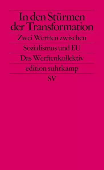 Cover: In den Stürmen der Transformation