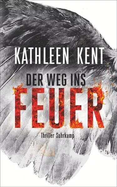 Cover: Der Weg ins Feuer