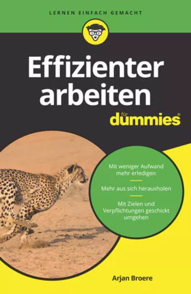 Cover: Effizienter arbeiten für Dummies