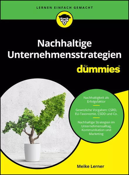 Cover: Nachhaltige Unternehmensstrategien für Dummies