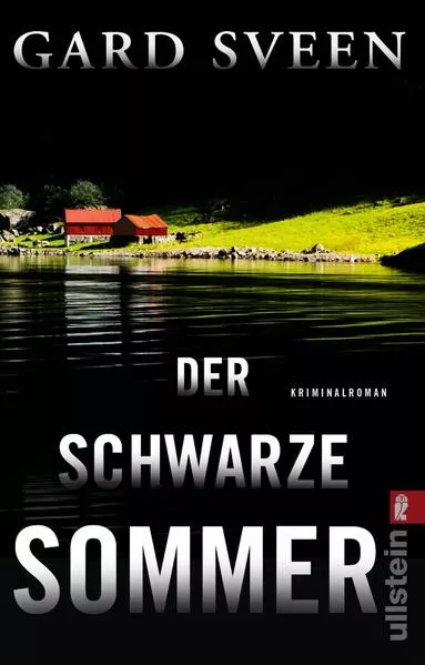 Cover: Der schwarze Sommer (Ein Fall für Tommy Bergmann 5)