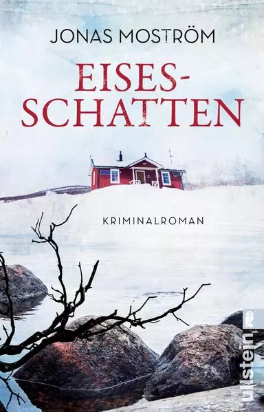 Cover: Eisesschatten (Ein Nathalie-Svensson-Krimi 5)