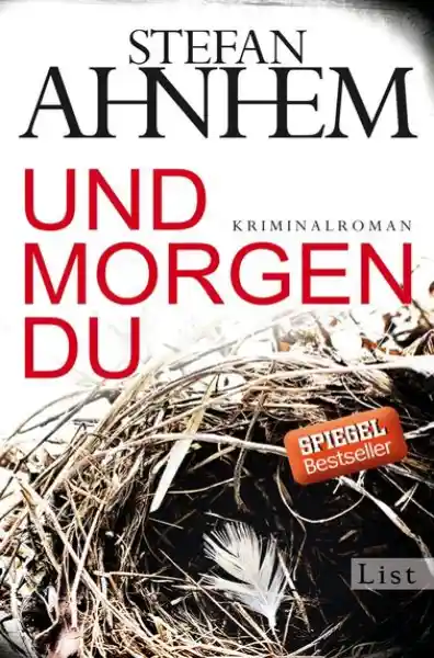 Cover: Und morgen du (Ein Fabian-Risk-Krimi 1)