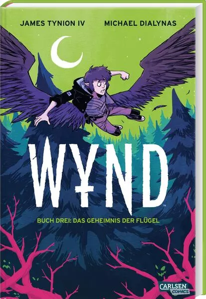 Cover: WYND 3: Das Geheimnis der Flügel