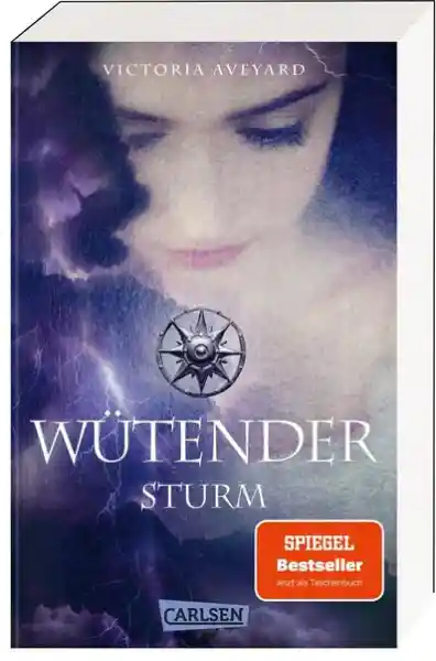 Cover: Wütender Sturm (Die Farben des Blutes 4)