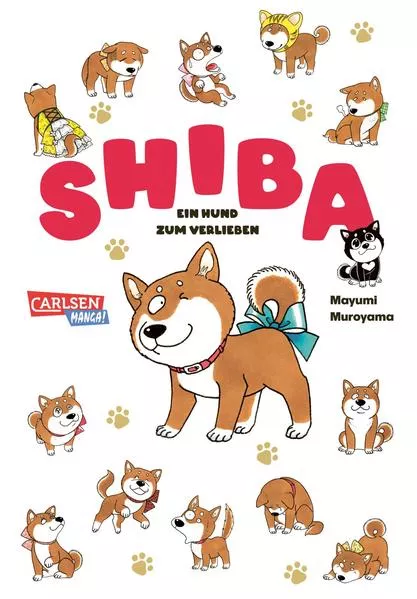 Cover: Shiba - Ein Hund zum Verlieben