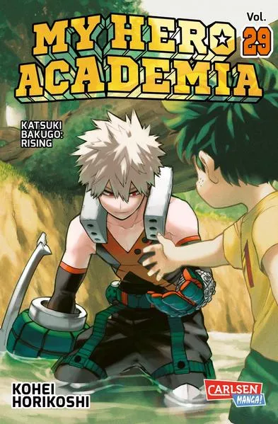 Cover: My Hero Academia 29