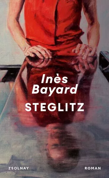 Cover: Steglitz