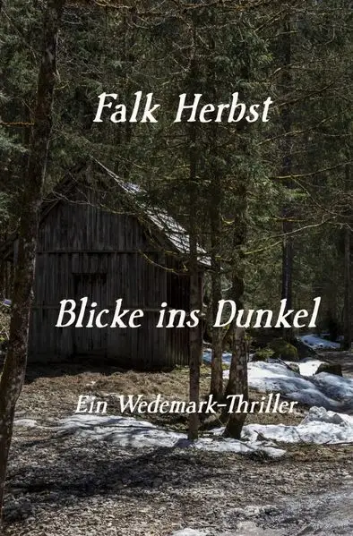 Cover: Blicke ins Dunkel