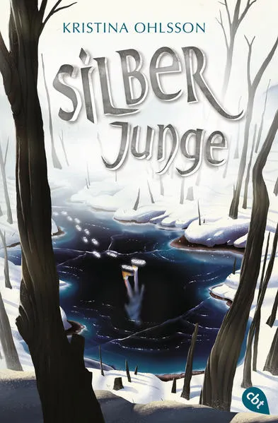 Cover: Silberjunge