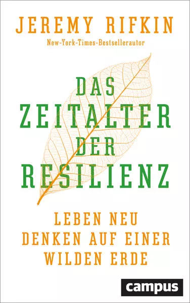 Cover: Das Zeitalter der Resilienz