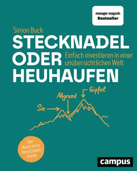 Cover: Stecknadel oder Heuhaufen