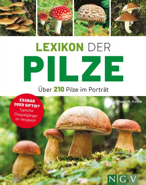 Lexikon der Pilze - Über 210 Pilze im Porträt