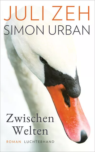 Cover: Zwischen Welten