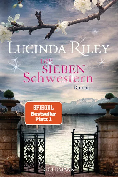 Cover: Die Sturmschwester