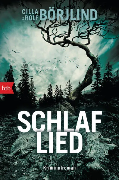 Cover: Schlaflied