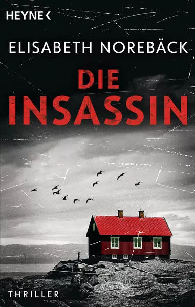 Cover: Die Insassin