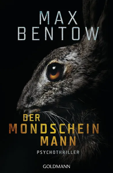 Cover: Der Mondscheinmann