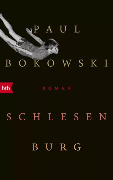 Cover: Schlesenburg