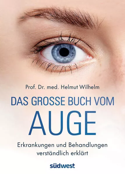 Cover: Das große Buch vom Auge