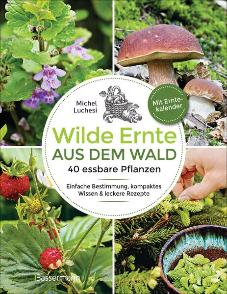 Wilde Ernte aus dem Wald - 40 essbare Pflanzen - einfache Bestimmung, kompaktes Wissen und leckere Rezepte</a>