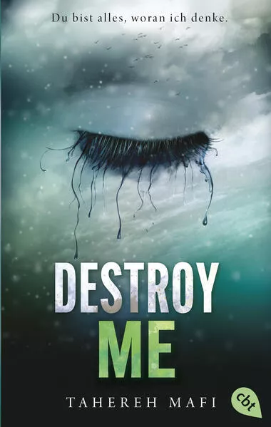 Cover: Destroy Me