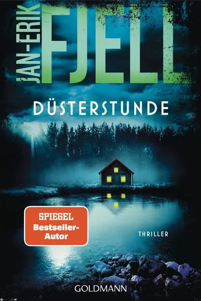 Cover: Düsterstunde
