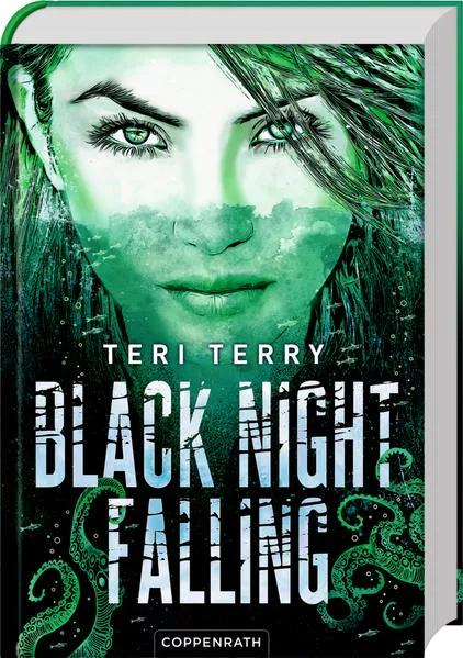 Cover: Black Night Falling (Bd. 3)