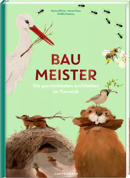 Cover: Baumeister
