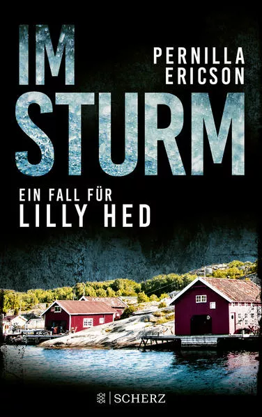 Cover: Im Sturm