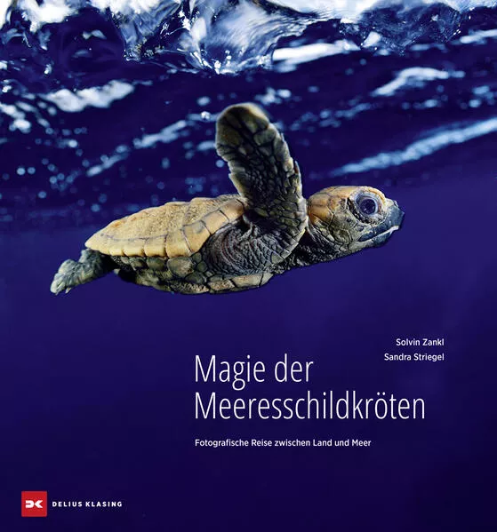 Cover: Magie der Meeresschildkröten