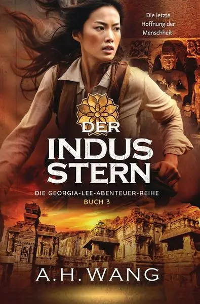 Cover: Der Indus-Stern