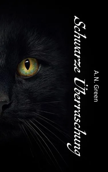 Cover: Schwarze Überraschung