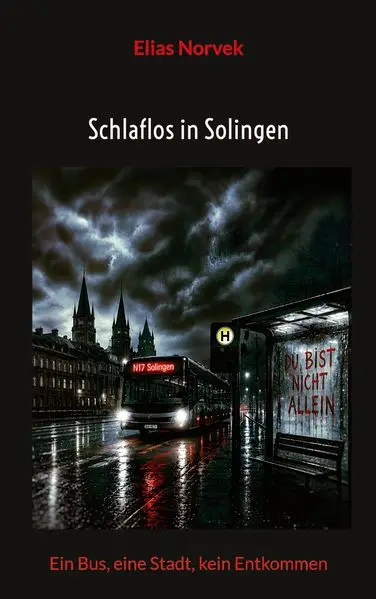 Cover: Schlaflos in Solingen