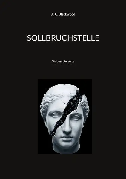 Cover: SOLLBRUCHSTELLE